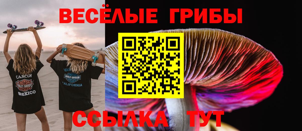 Псилоцибиновые грибы Psilocybe  Вход с VPN  Котлас 