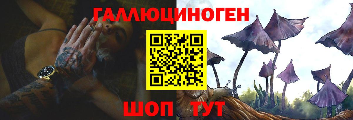 Псилоцибиновые грибы MAGIC MUSHROOMS Котлас